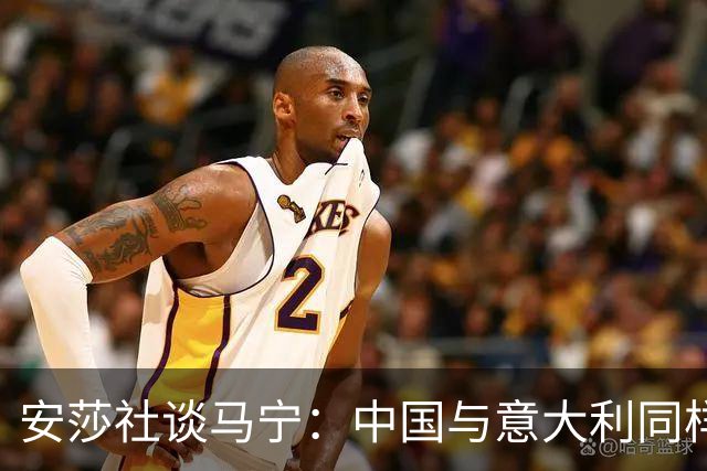 安莎社谈马宁：中国与意大利同样无缘世界杯，这位裁判被球迷追捧
